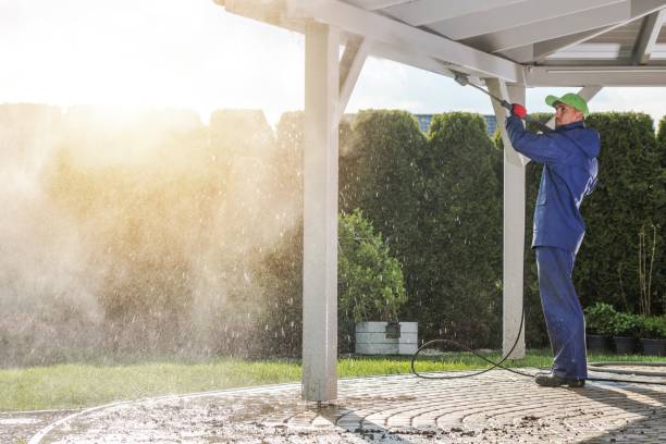 Best Graffiti Removal Services in Warren Af, WY
